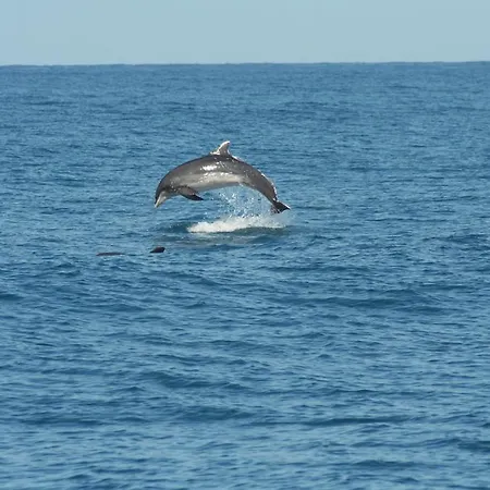 Holiday home Vacanze A Viareggio