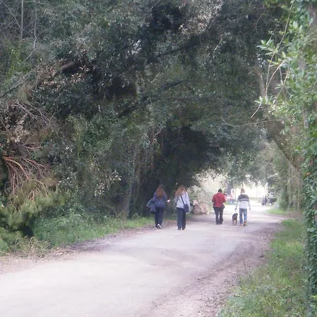 Vacanze A * Viareggio