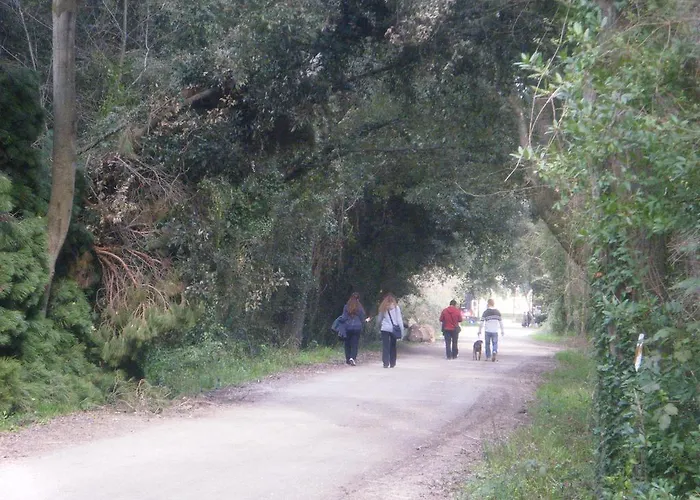 Vacanze A * Viareggio