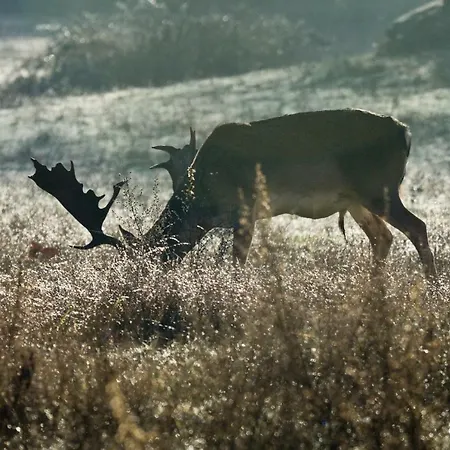 Vacanze A بيت للعطل فياريجيو