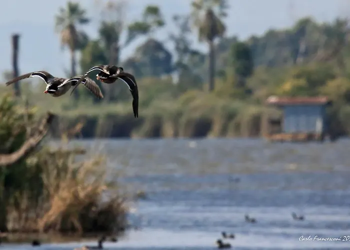 Holiday home Vacanze A