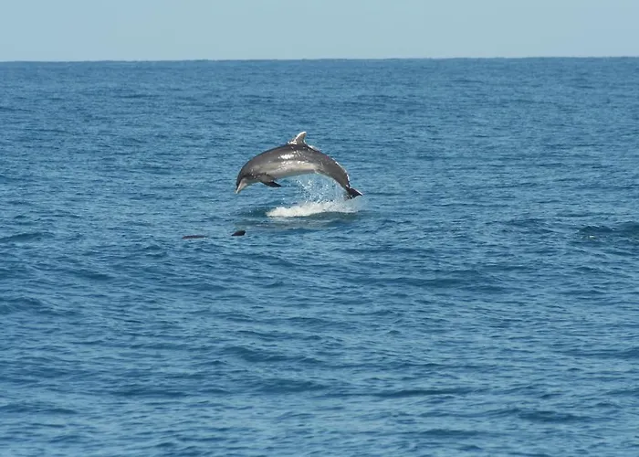 Будинок відпочинку Vacanze A В'яреджо